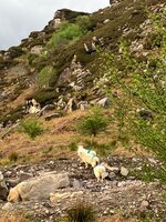 IMG_0451.jpeg