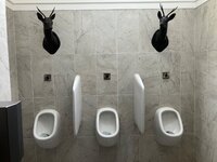 IMG_0458.jpeg
