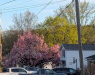 PXL_20250427_225803182.jpg