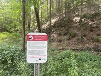IMG_2255.jpeg