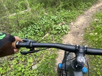 IMG_9983.jpeg