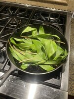 IMG_9991.jpeg