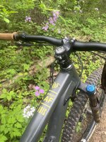 IMG_0036.jpeg