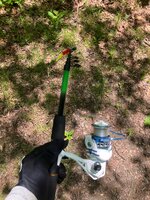 IMG_0567.jpeg