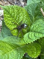IMG_0047.jpeg