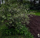 IMG_1250.jpeg