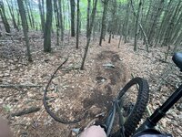 IMG_0072.jpeg