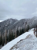 IMG_9789.jpeg