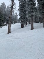 IMG_9772.jpeg