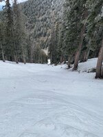 IMG_9769.jpeg