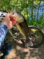 IMG_0590.jpeg