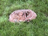 IMG_0147.jpeg