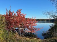 Fall colors Oct2025 - 2.jpeg