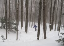 sigg-at-gore-2-2-25 - 1.jpeg