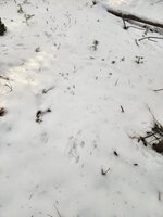 IMG_20251204_180430 (5).jpg