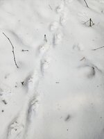 IMG_20251204_180430 (4).jpg