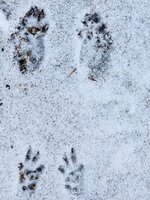 IMG_20251204_180430 (3).jpg