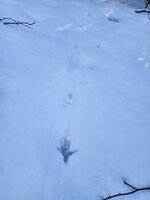 IMG_20251204_180430 (2).jpg