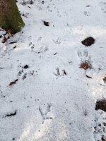 IMG_20251204_180430 (1).jpg