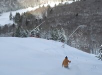 stuart-skyride - 1 (1).jpeg