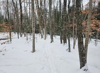 powder-turns - 1.jpeg