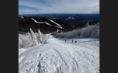 Rumor Whales Top.jpg