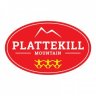 Plattekill