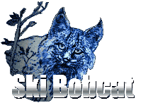 Ski Bobcat logo
