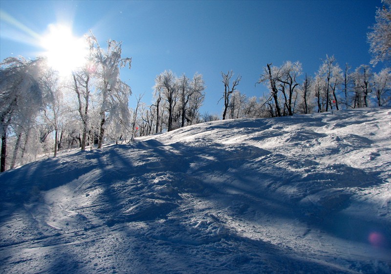 Belleayre Bumps