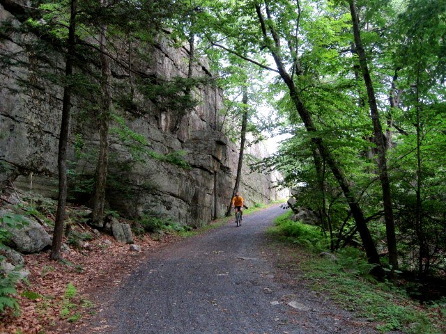  Rock Wall on Trapps Road