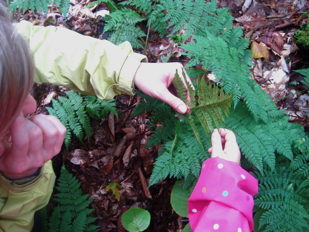 Zelda teaches Neve about fern spores