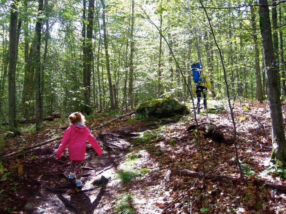 trail to Sawyer Mountain NY