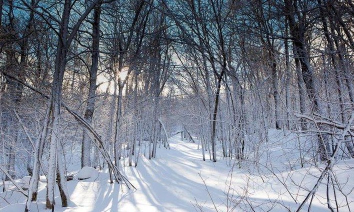 Wisconsin Ski Resorts Guide From Cascade Mountain To, 48% OFF