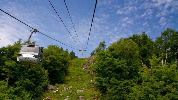 Whiteface Mountain Gondola