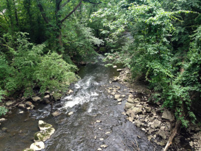 Saw Mill Gorge