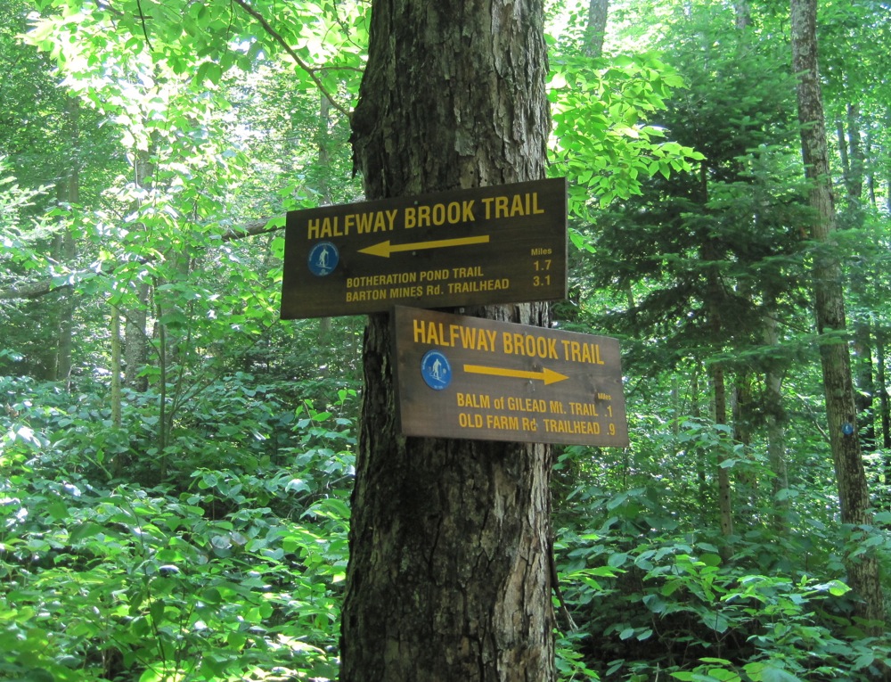 Halfway Brook Trail Signs