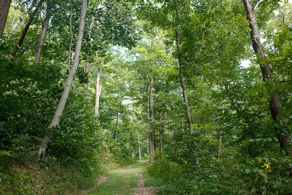 Spruceton Trail