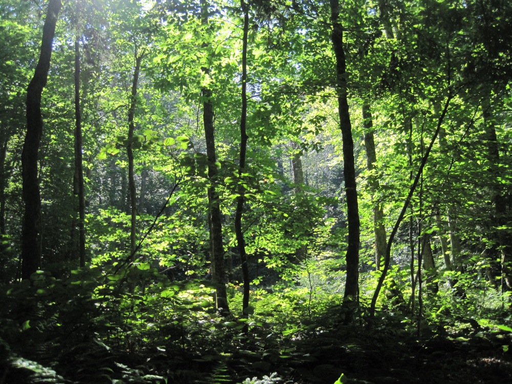 On the trail to Blue Ledges