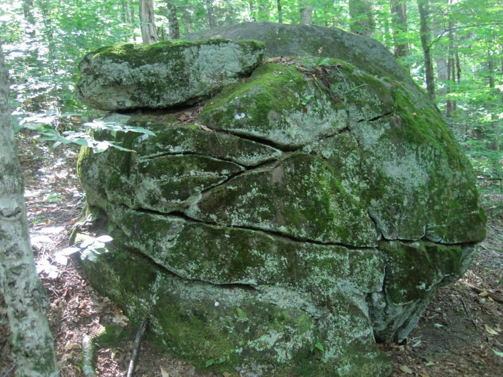 fun rock on the trail