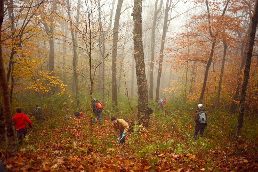 Plattekill work day crew