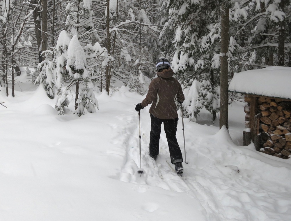 skiing in the woods