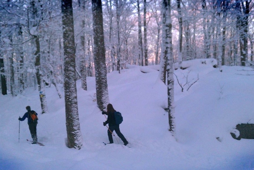 Skiing to the summit of Dewey Mountain