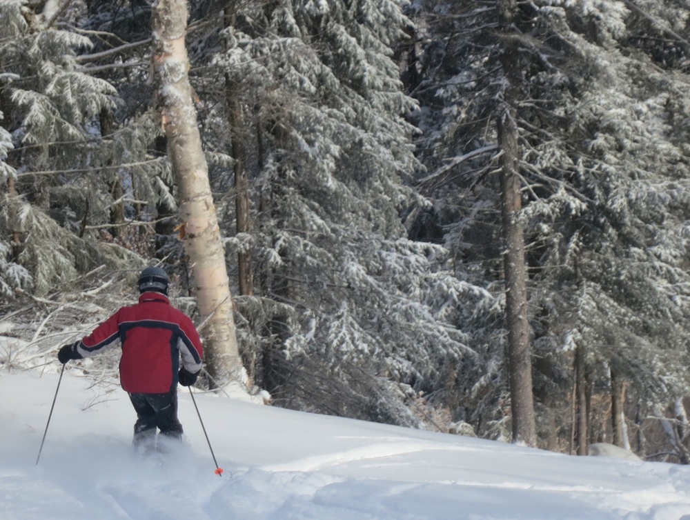 Untracked snow on the trails.