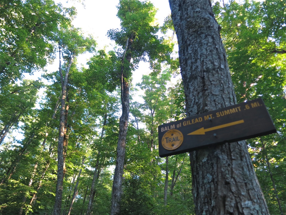 Balm of Gilead Mountain sign