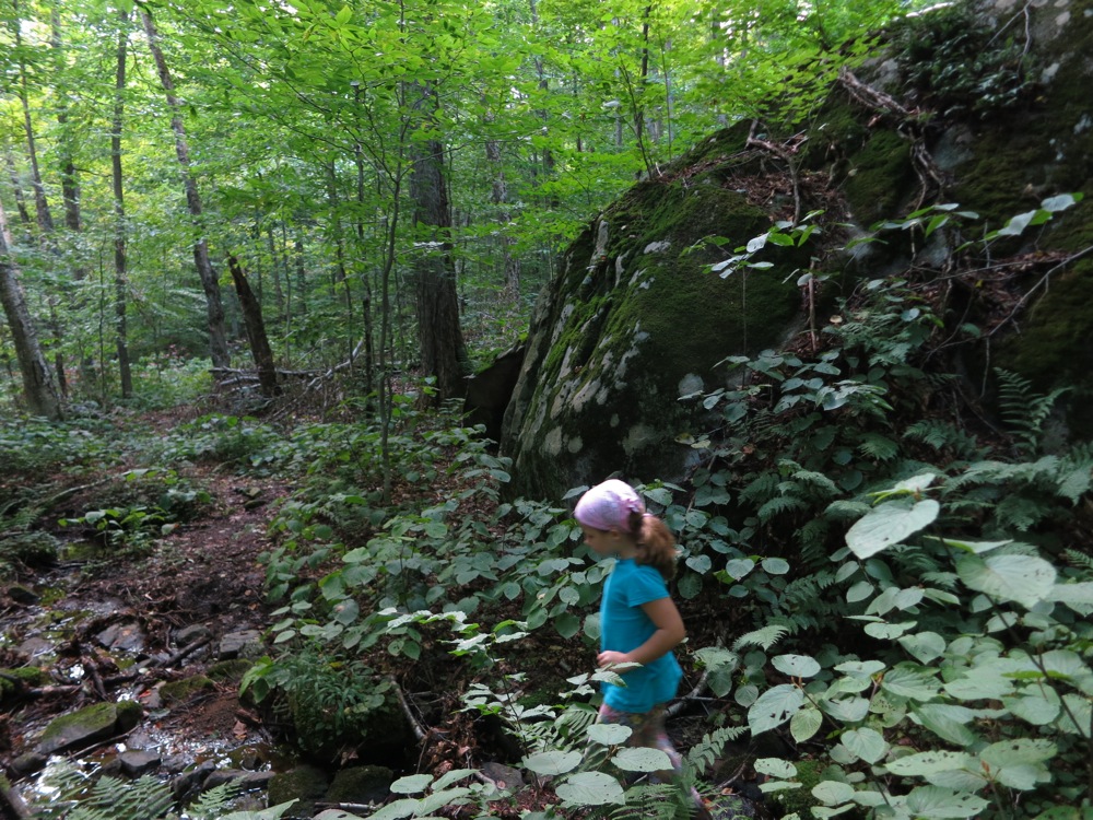 hiking the Hour Pond Trail