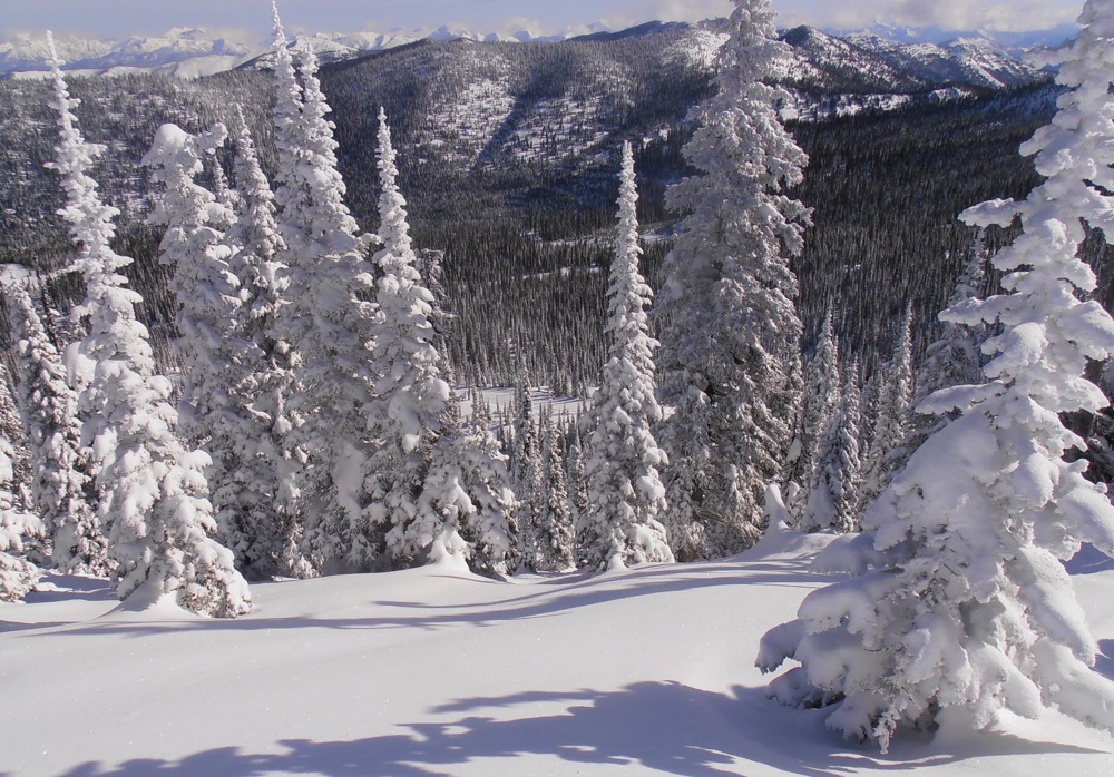 Montana Skiing