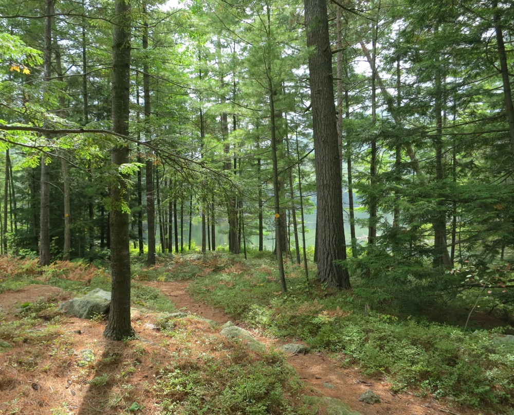 Trail-around-Rock-Pond