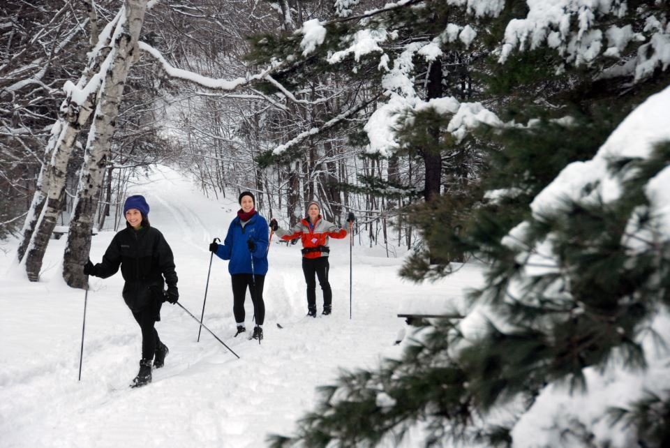 Three-Nordic-Skiers