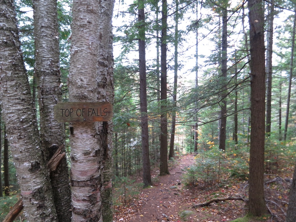 Trail to top-of-OK-Slip-Falls-NY