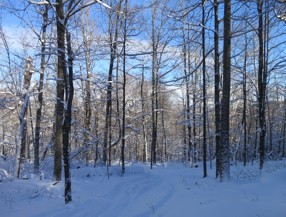 Height-of-Land Raymond Brook trail